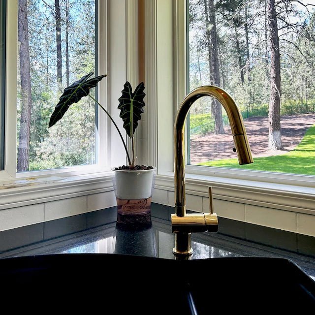Brass Pull Down Kitchen Faucet - Image 2